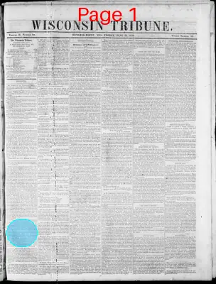Page thumbnail for Wisconsin Tribune