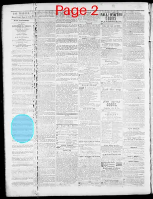 Page thumbnail for Wisconsin Tribune