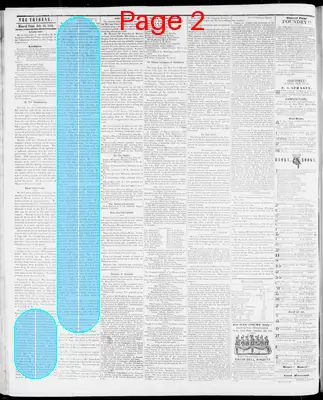 Page thumbnail for Wisconsin Tribune