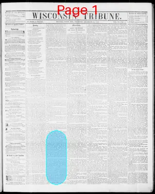 Page thumbnail for Wisconsin Tribune
