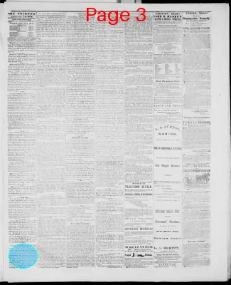 Page thumbnail for Mineral Point Weekly Tribune