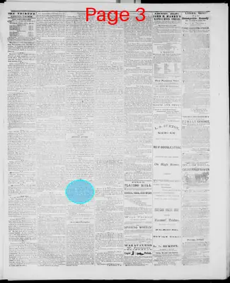 Page thumbnail for Mineral Point Weekly Tribune