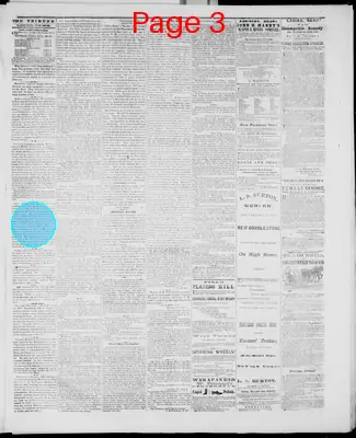 Page thumbnail for Mineral Point Weekly Tribune