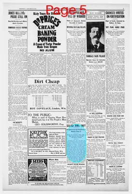 Page thumbnail for Iowa County Democrat