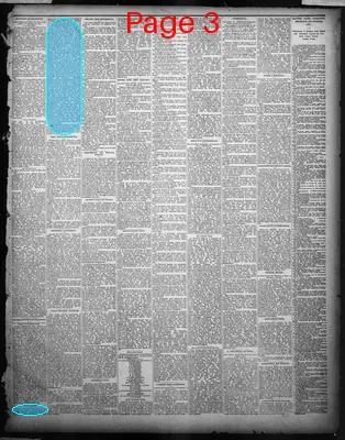 Page thumbnail for The Austin Weekly Statesman