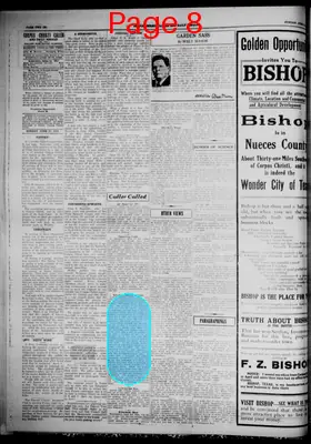 Page thumbnail for Corpus Christi Caller And Daily Herald