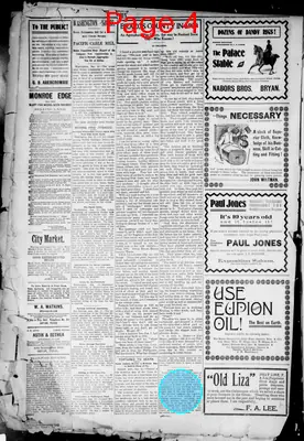 Page thumbnail for Bryan Morning Eagle