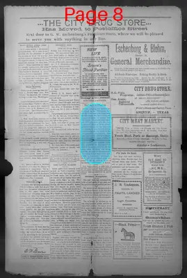 Page thumbnail for Shiner Gazette