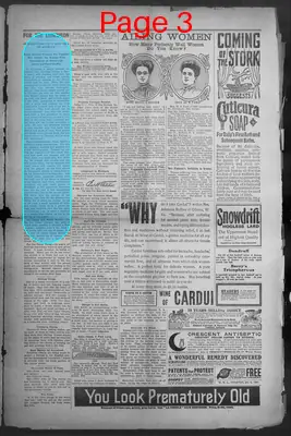 Page thumbnail for Shiner Gazette