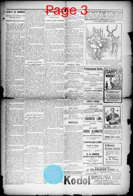 Page thumbnail for Palestine Daily Herald