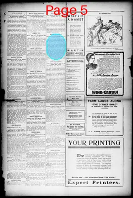 Page thumbnail for Palestine Daily Herald
