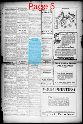 Page thumbnail for Palestine Daily Herald