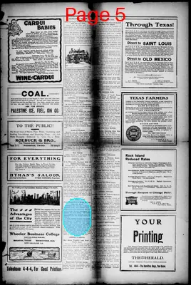 Page thumbnail for Palestine Daily Herald