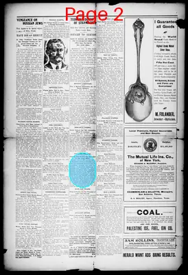 Page thumbnail for Palestine Daily Herald