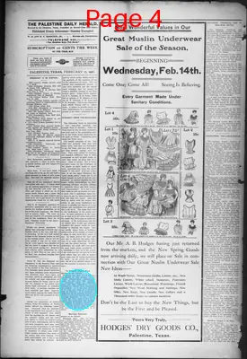 Page thumbnail for Palestine Daily Herald