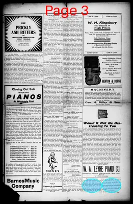 Page thumbnail for Palestine Daily Herald