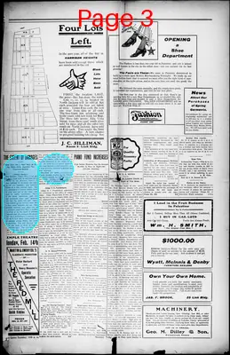 Page thumbnail for Palestine Daily Herald