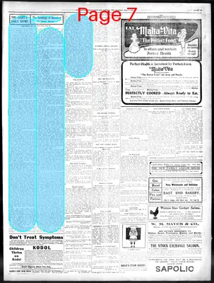 Page thumbnail for San Antonio Daily Light