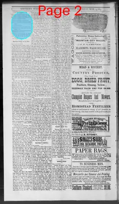 Page thumbnail for Southern Standard
