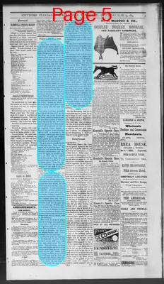 Page thumbnail for Southern Standard