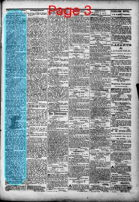 Page thumbnail for Rapides Gazette