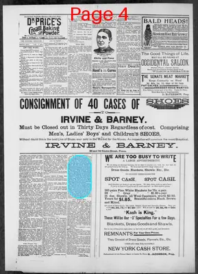 Page thumbnail for The Evening Dispatch