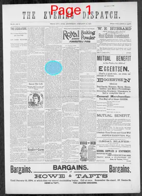 Page thumbnail for The Evening Dispatch