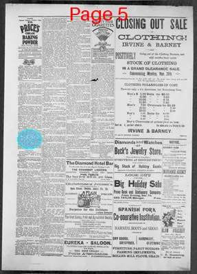 Page thumbnail for The Evening Dispatch