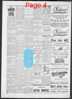 Page thumbnail for The Evening Dispatch