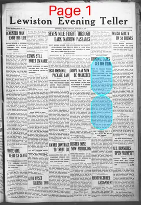 Page thumbnail for Lewiston Evening Teller