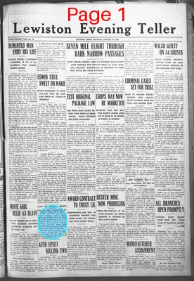 Page thumbnail for Lewiston Evening Teller