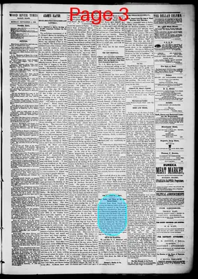 Page thumbnail for Wood River Times