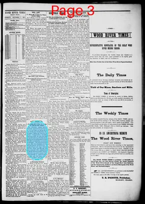Page thumbnail for Wood River Times