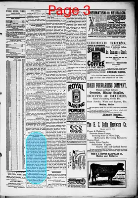 Page thumbnail for Wood River Times