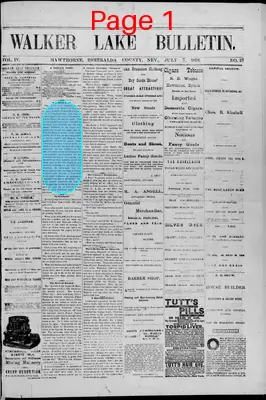 Page thumbnail for Walker Lake Bulletin