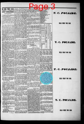 Page thumbnail for The Pioche Weekly Record