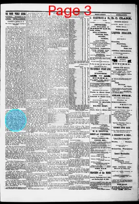 Page thumbnail for The Pioche Weekly Record