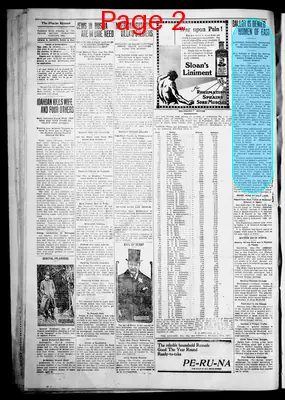 Page thumbnail for The Pioche Record