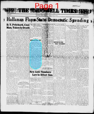 Page thumbnail for The Mcdowell Times