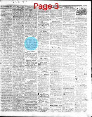 Page thumbnail for American Union