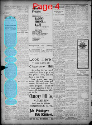 Page thumbnail for Daily New Dominion
