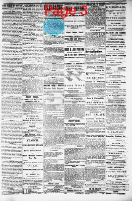 Page thumbnail for The Daily Register