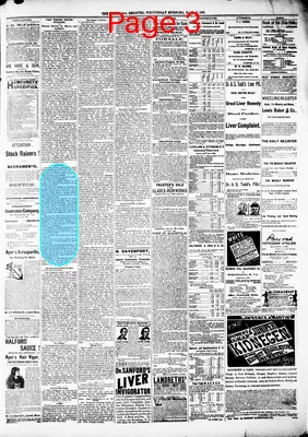 Page thumbnail for Wheeling Register