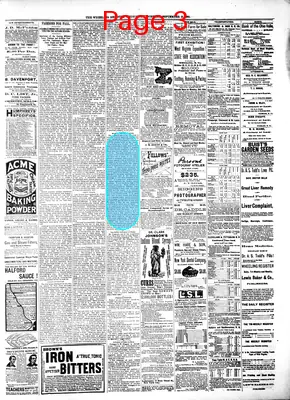 Page thumbnail for Wheeling Register