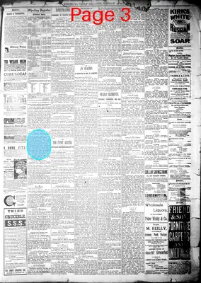 Page thumbnail for Wheeling Register
