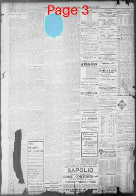 Page thumbnail for Wheeling Register