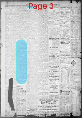 Page thumbnail for Wheeling Register