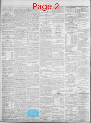 Page thumbnail for Wheeling Daily Intelligencer
