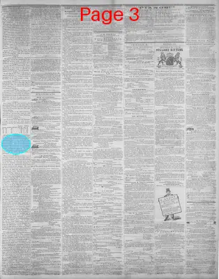 Page thumbnail for Wheeling Daily Intelligencer