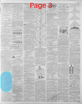 Page thumbnail for Wheeling Daily Intelligencer